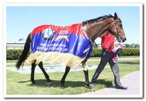 2yo Classic